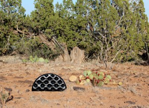 http://www.amygarofano.com/files/gimgs/th-28_black-in-anton-chico.jpg